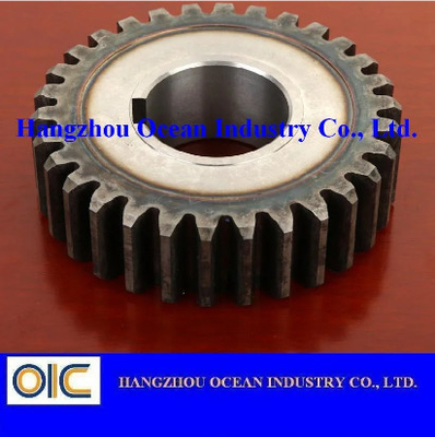 China Standard Size Steel Spur Gear supplier