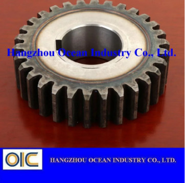 China Spur Gear for Transmission Parts supplier
