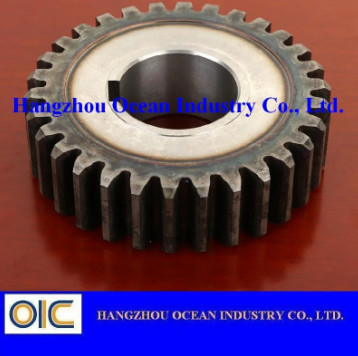 China Special Steel Spur Gear Pinion supplier