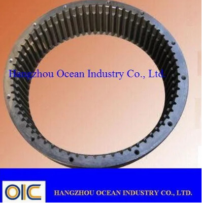 China Large Diameter Steel Ring Gear supplier