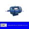YD Series Pole-Changing Multi-Speed Three-Phase Asynchronous Electric Motor supplier