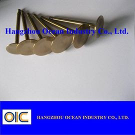 Auto Valve Use For Ford , Buick ,  , Audi , Peugeot ,  , Skoda Toyota , Nissan , Lexus supplier