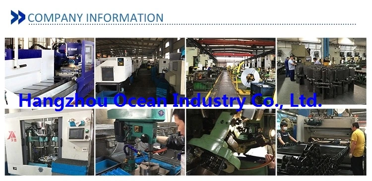 Factory Supply M1-M12 Customized Steel Flexible Window Round Gear Rack